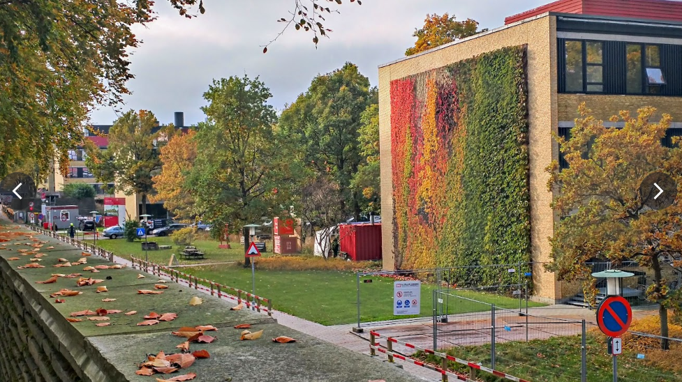 덴마크공과대학