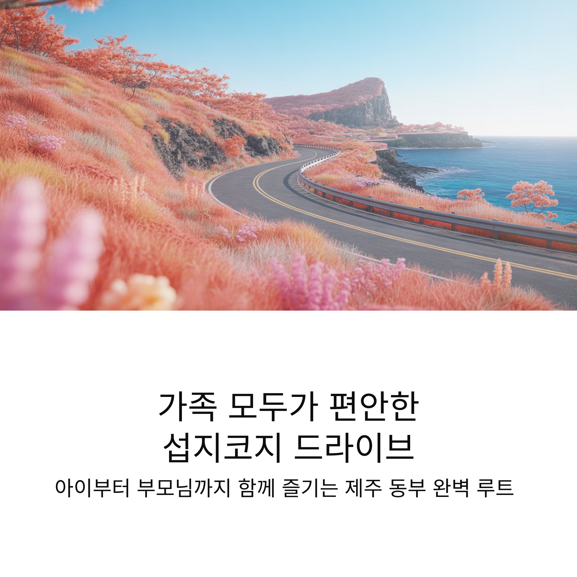 섭지코지 드라이브 코스 가족 여행자에게 최적화된 루트