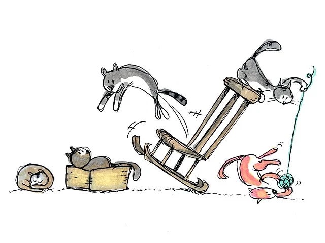 고양이 구강 영양제