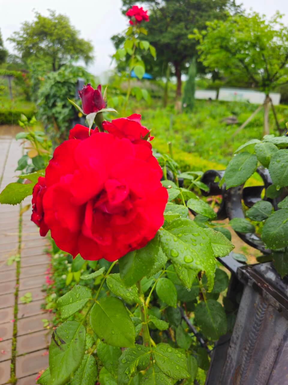 선진국 장애인 문화참여 지원정책