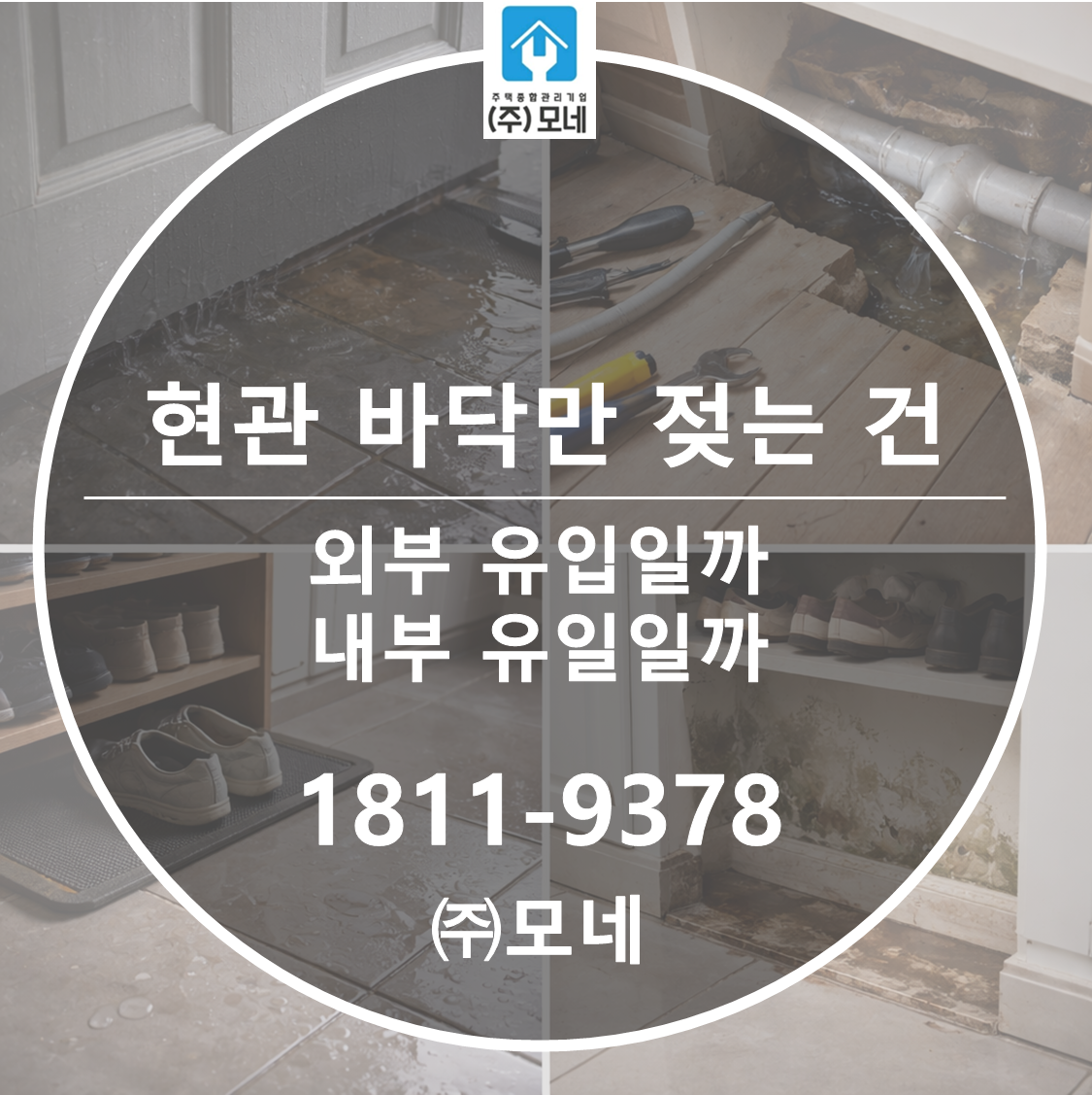 현관 바닥만 젖는 건 외부 유입일까 내부 배관일까?