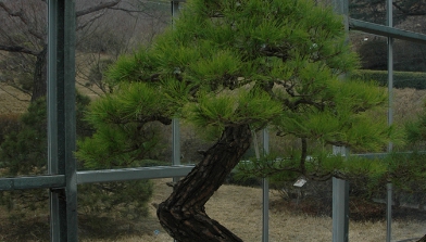 가을여행/가족여행지/추천/전북/대아수목원