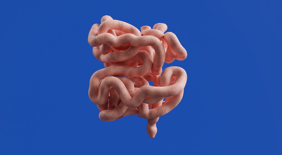 Intestine