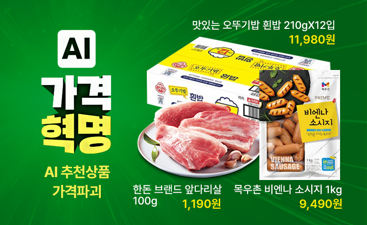 홈플러스 전단 AI