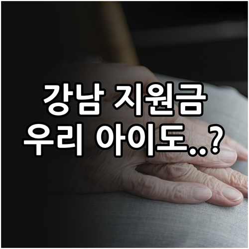 2025년 강남구 아동양육시설 지원,..