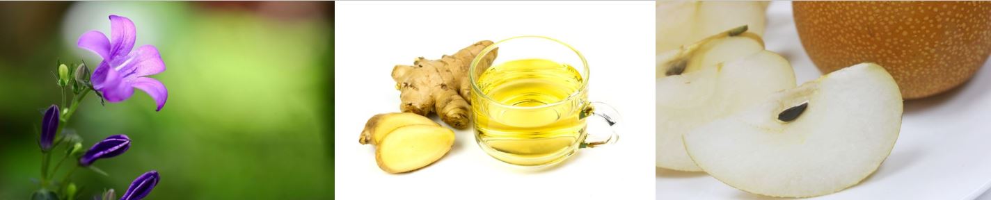 기관지에 좋은 음식 관련 사진