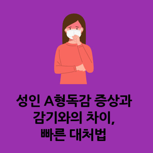 성인 A형독감 증상과 감기와의 차이, 빠른 대처법