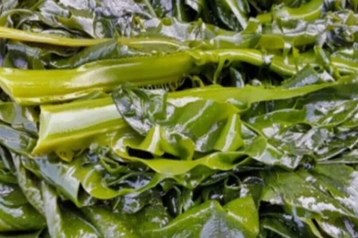 갱년기에 좋은 식품 호두 아몬드