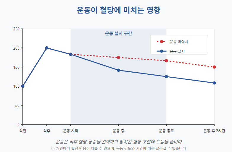 운동이혈당에 미치는 영향