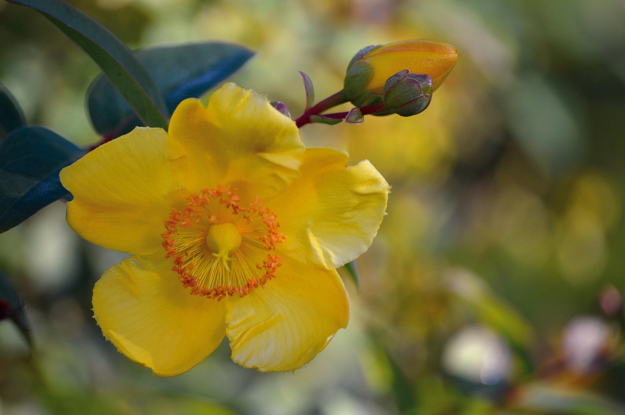 고창 가볼만한곳 추천명소