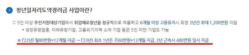 청년 일자리 도약 장려금