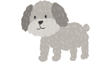 강아지 나이 사람나이