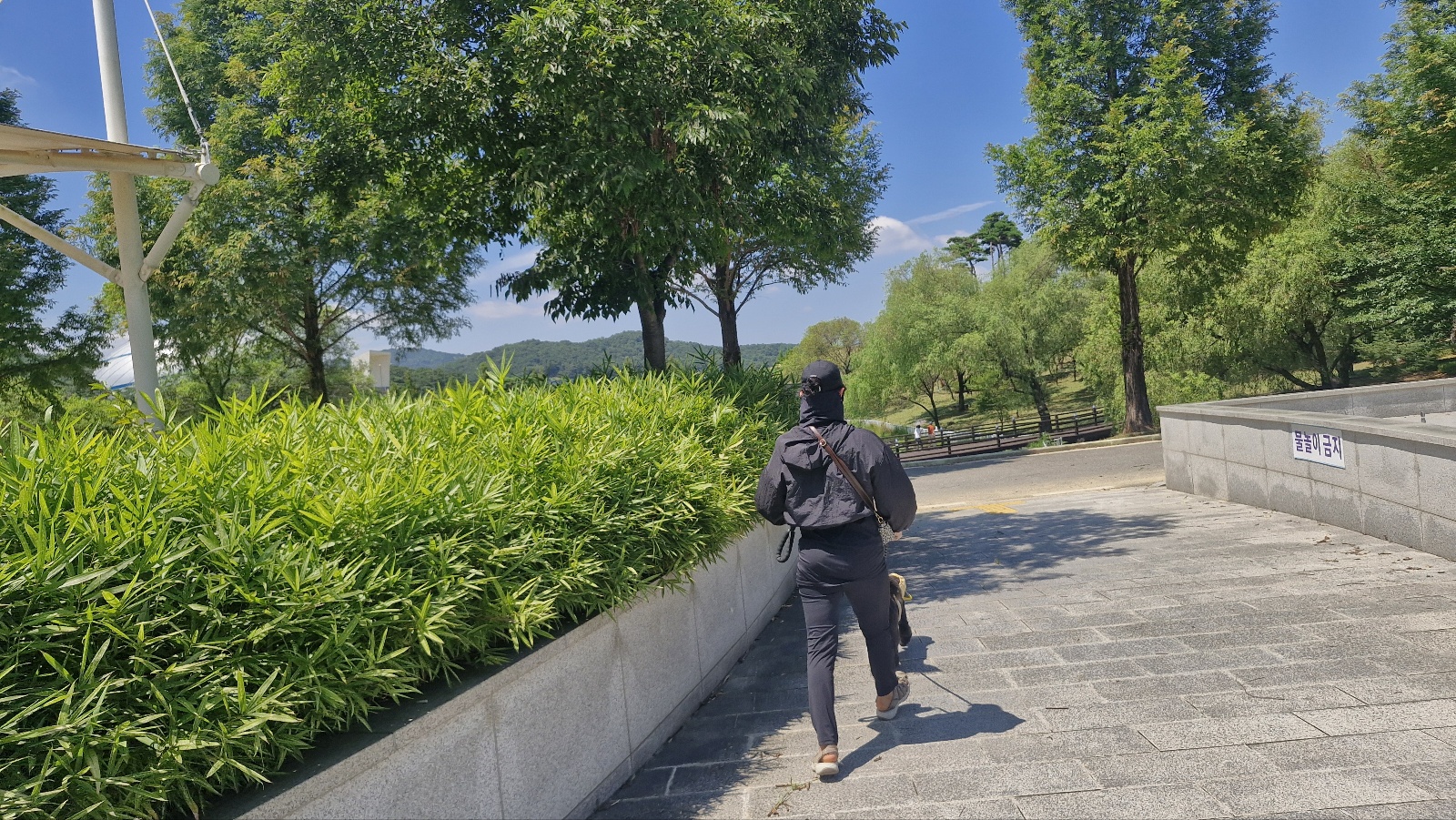 강아지 영양제 대신 화식으로 대처 법