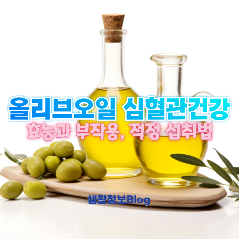 올리브오일 심혈관건강
