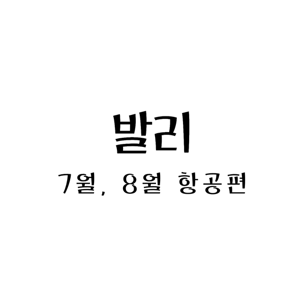 발리7월8월항공편