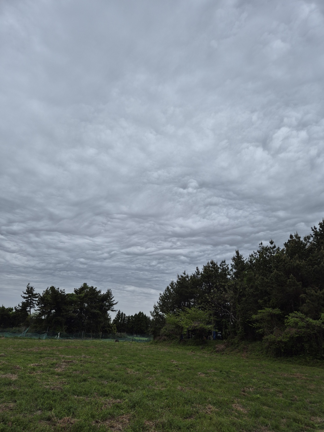 기초연금 2025 신청방법과 자격조건, 월 최대 얼마까지 받을까?