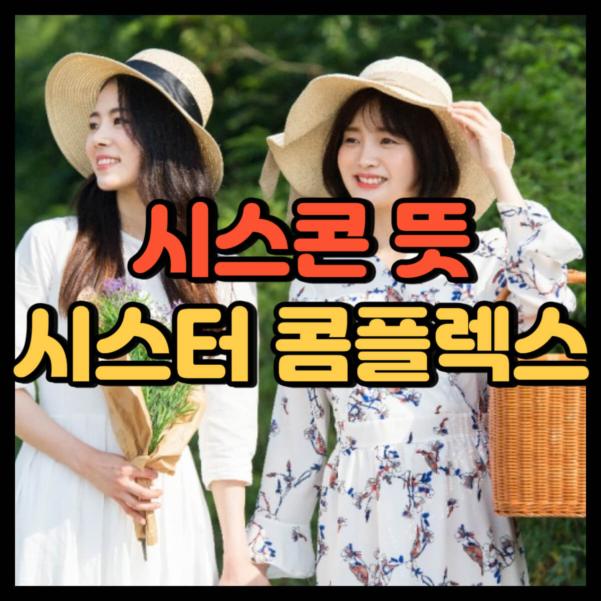 시스콘 뜻