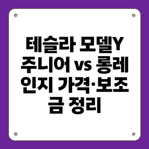 테슬라 모델Y 주니어와 롱레인지 차이