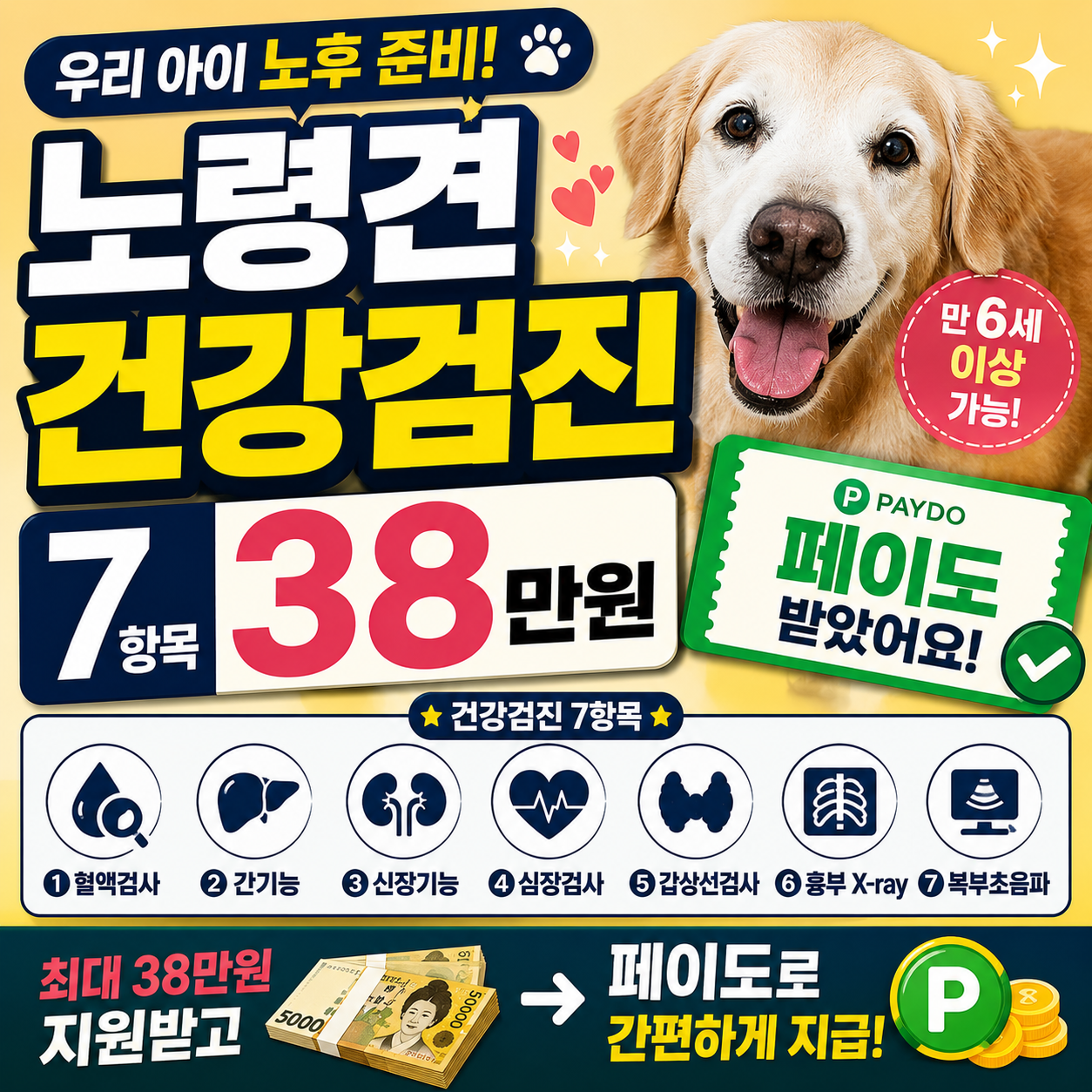 노령견 건강검진 7항목 38만원, 페이도 받았어요
