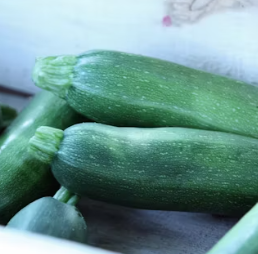 애호박 효능과 부작용 영양성분 고르는법 칼로리