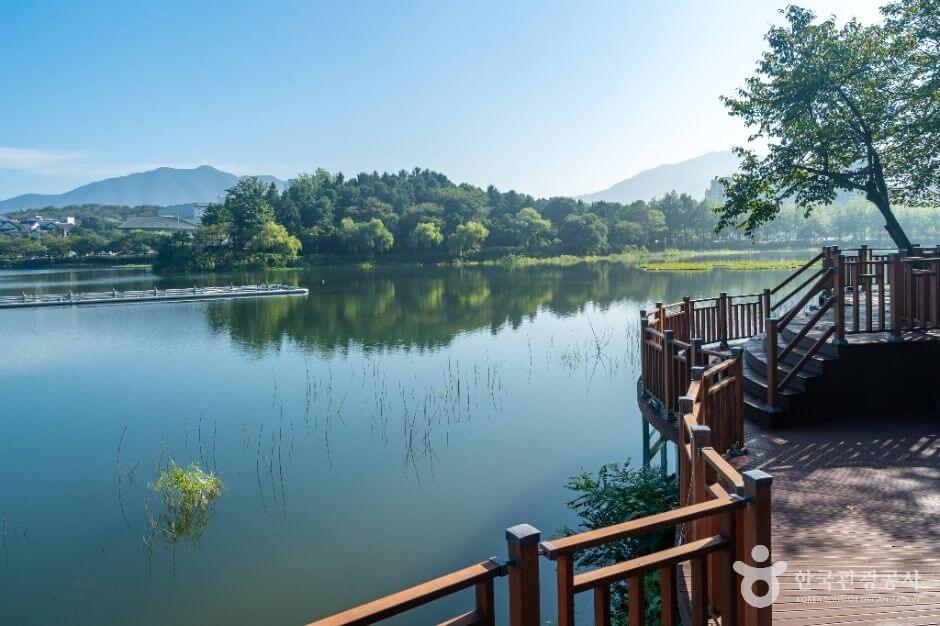 충주 가볼만한곳 베스트 10