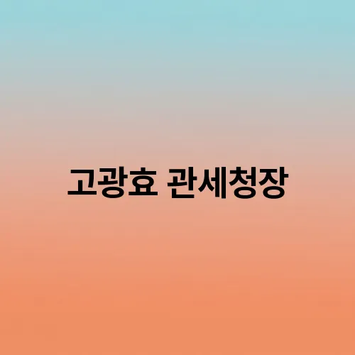 고광효 관세청장