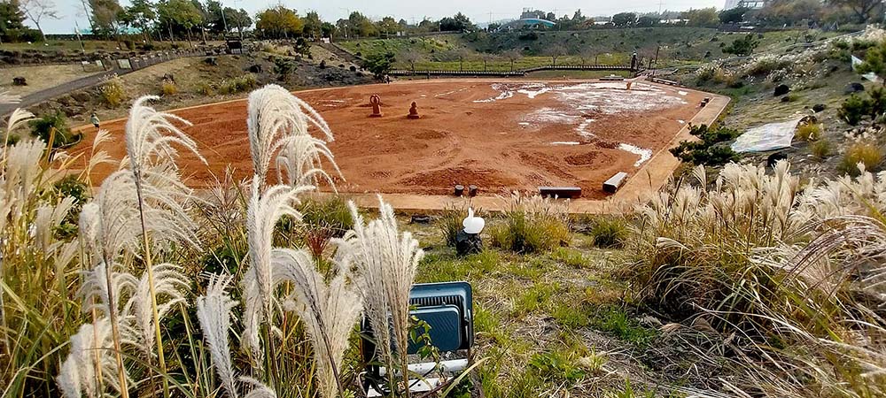 제주 서귀포 숲길