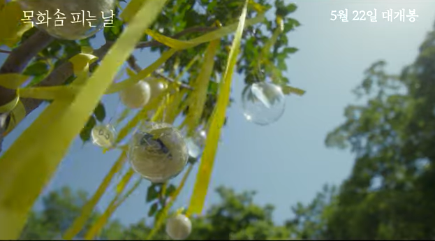 목화솜 피는 날 정보 출연진 상영관 예고편 4