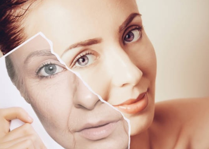 노화 방지 방법