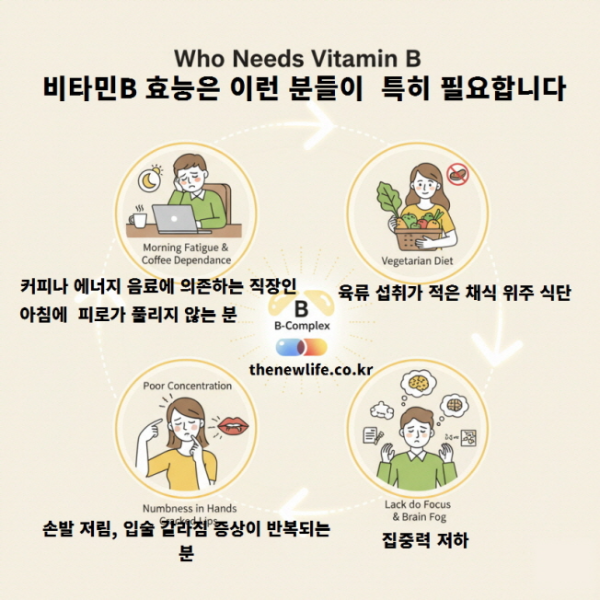 비타민B 효능이 특히 필요한 사람들을 나타낸 인포그래픽 &ndash; 피로감이 심한 직장인, 커피 의존자, 채식 위주 식단, 손발 저림이나 집중력 저하를 겪는 사람 등 비타민B가 필요한 유형을 설명합니다.