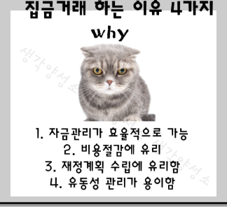 집금거래이유