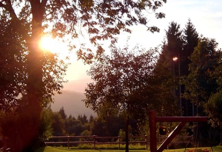 경제적 자유를 이루는 사람들의 5가지 공통점 관련 사진