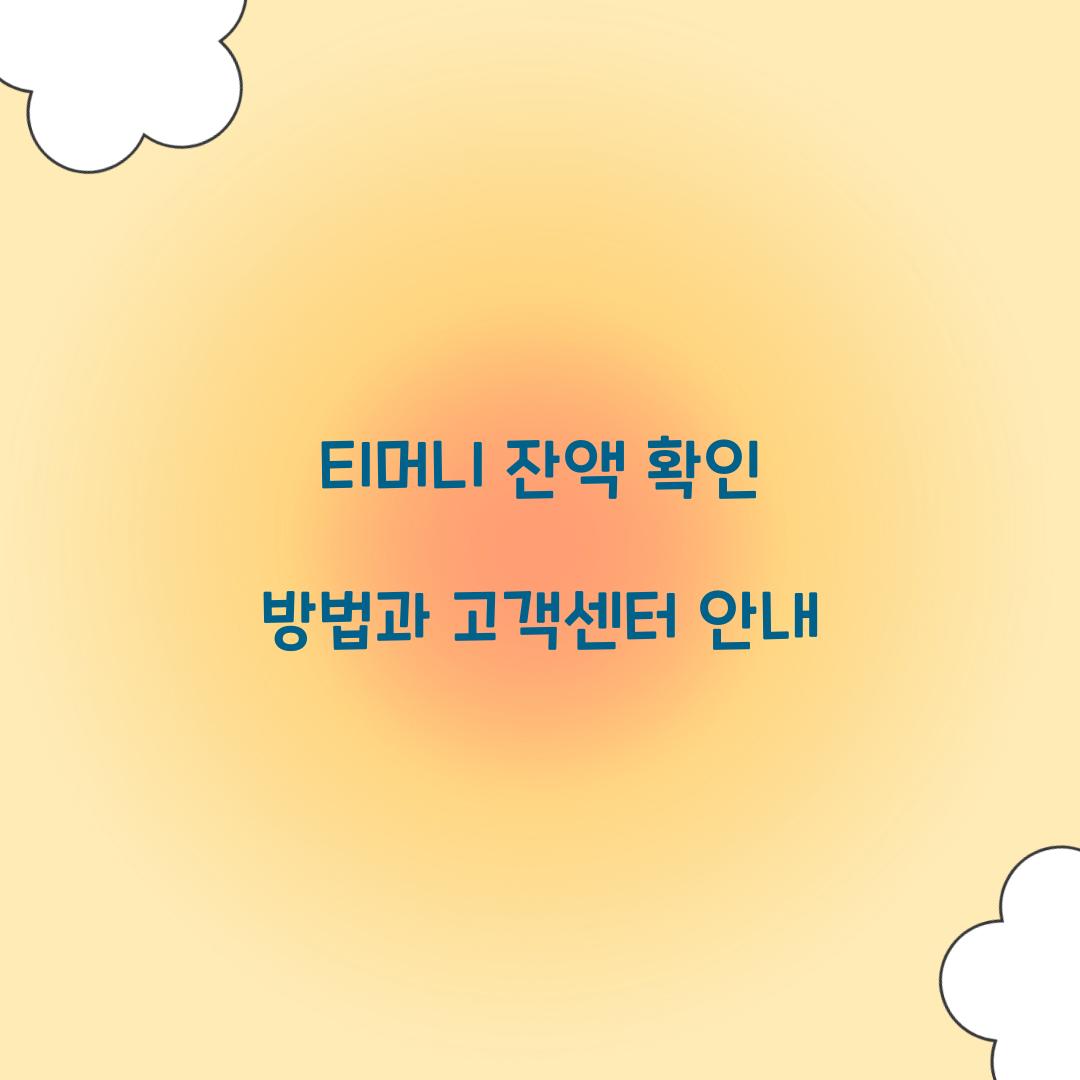 티머니 잔액 확인