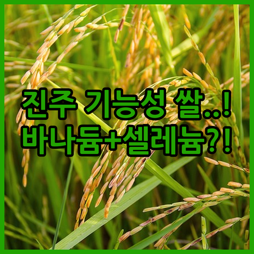 경남 진주 생산 바나듐 셀레늄 기능성..