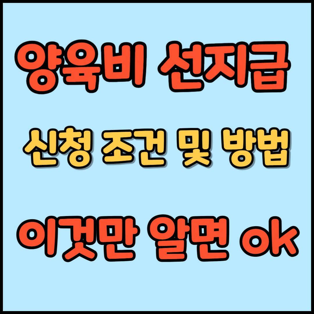 양육비 선지급