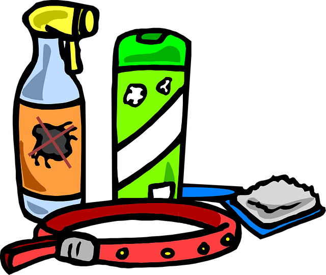 실내 식물에 좋은 천연 살충제