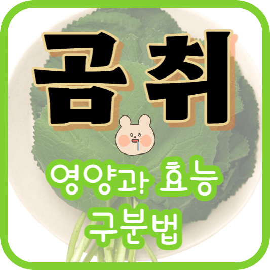 봄나물 곰취에 대한 내용의 포스팅임을 알려주는 썸네일
