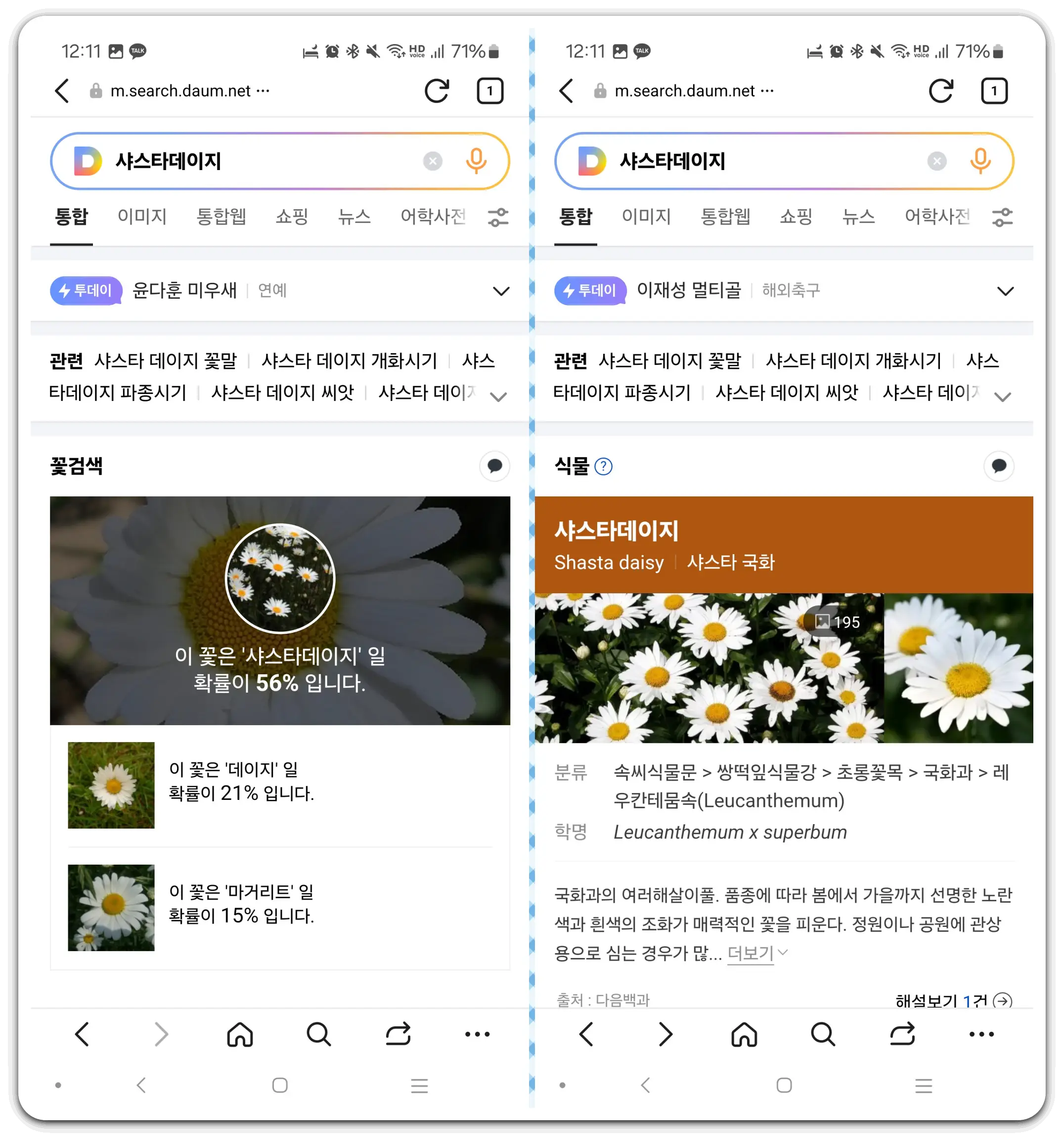 꽃-검색-꽃-사진-이름-검색-방법