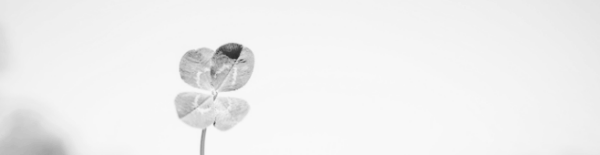 좋은 글귀: 희망