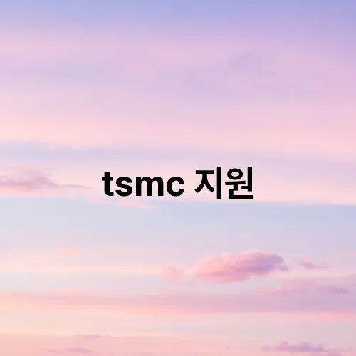 tsmc 지원