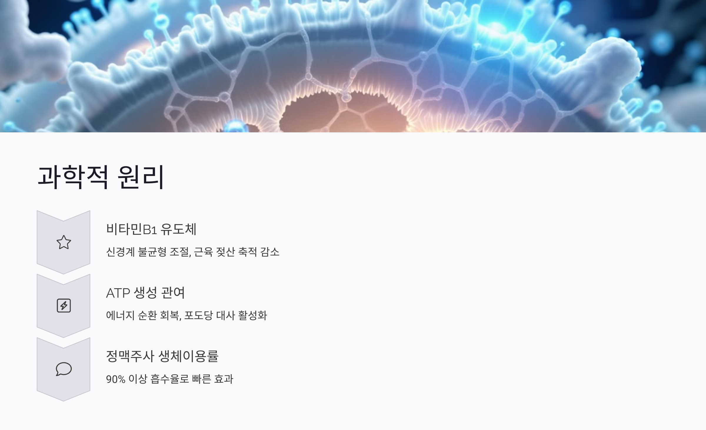 마늘주사로 하루 만에 효과 봤다는 사례들