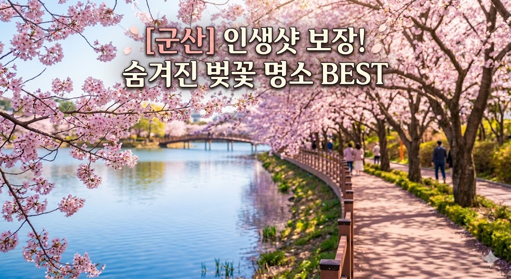 군산 벚꽃 명소