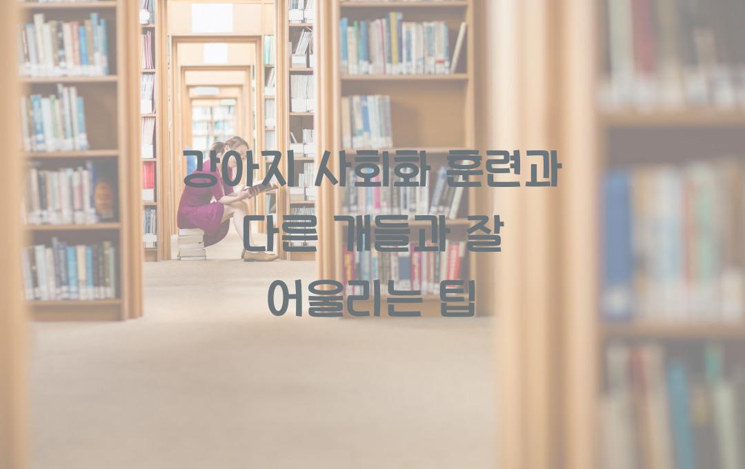 강아지 사회화 훈련, 다른 개들과 잘 어울리는 방법