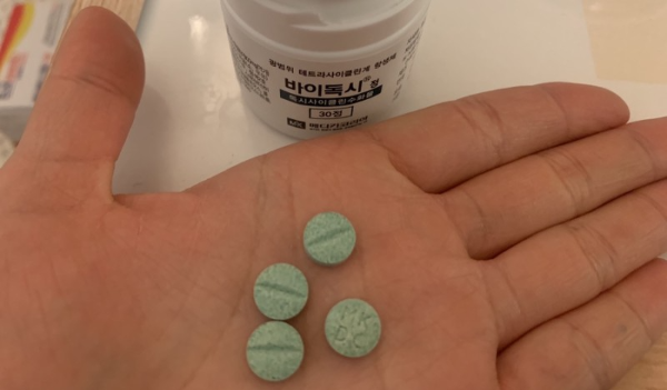 바이독시정 효과