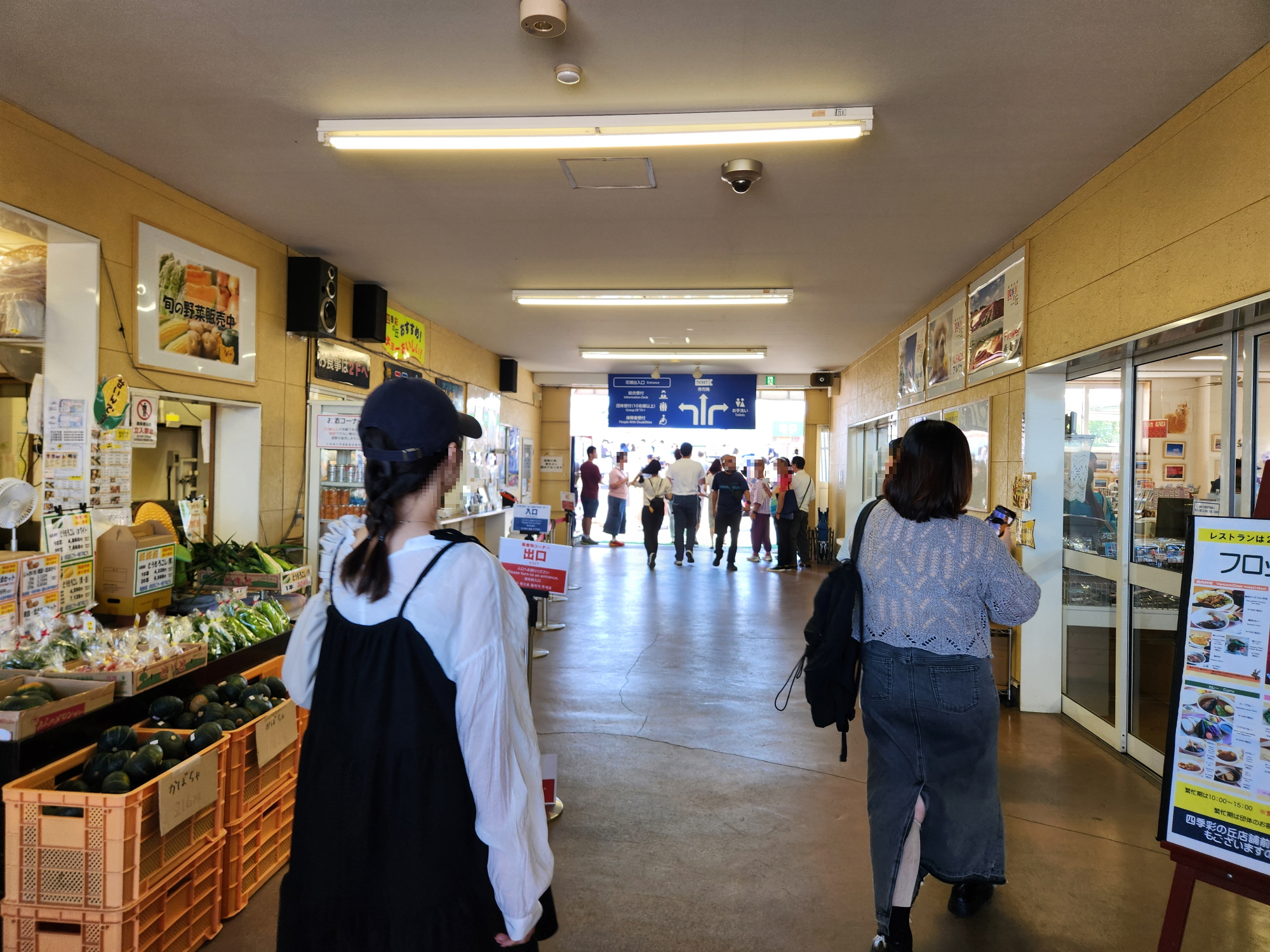 사계체 언덕 - 6