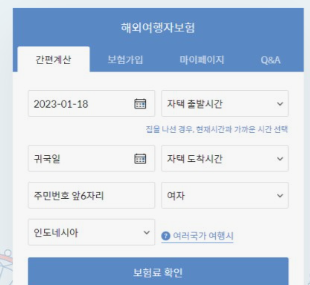 해외여행자-보험