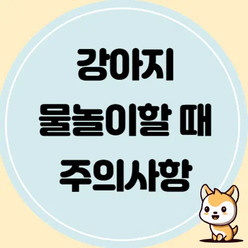 강아지와 물 놀이할 때 바다, 계곡 등 장소 별 주의 사항