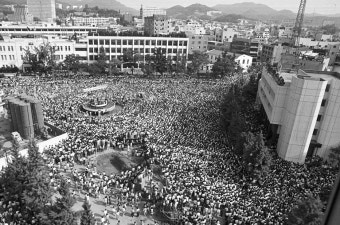 386세대와 베이비부머