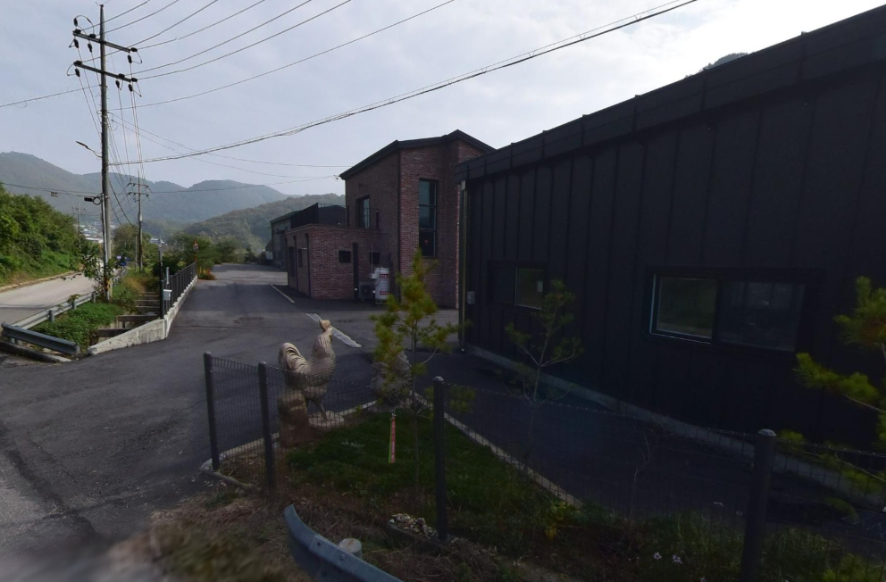 오늘n 유정란 파주