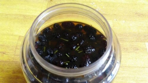 오디주-오디술-담그기-담그는법